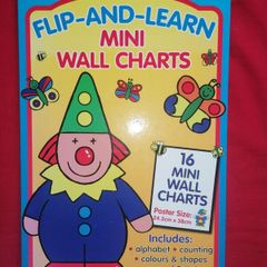 16 Mini Wall Charts (spiral bound)