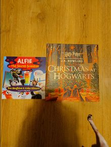 Harry potter Christmas