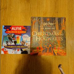 Harry potter Christmas