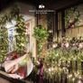 Christmas Tree Cluster Lights 480 LED Multicoloured 6m Image 6