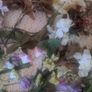 Artificial flowers + 2 oasis Image 3
