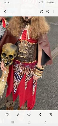 Halloween/fancy dress costume