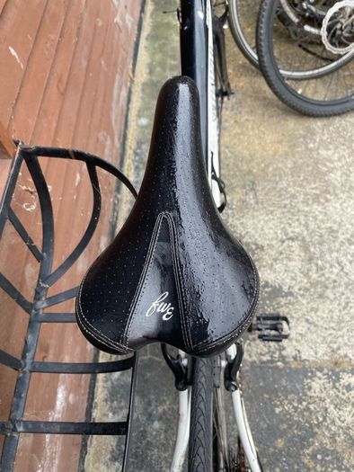 Specialized sirrus