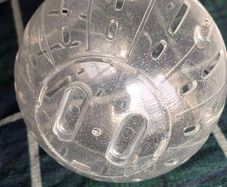 Hamster Ball