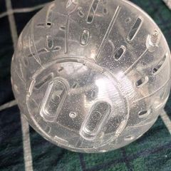 Hamster Ball