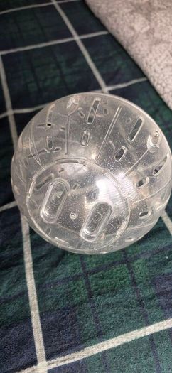 Hamster Ball