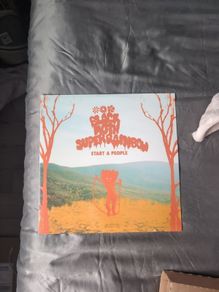 Black Moth Super Rainbow - Start A People Vinyl