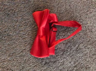 toddler bow tie red brand new never worn