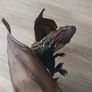 Schleich Dragon Antylar 70417 Image 4