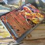 Pokemon Cards Image 8