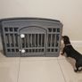 small dog pen Image 2