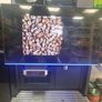 MAXIBEV BTC150 Commercial Automatic Coffee Machine + BMK-05 Milk Fridge Image 2