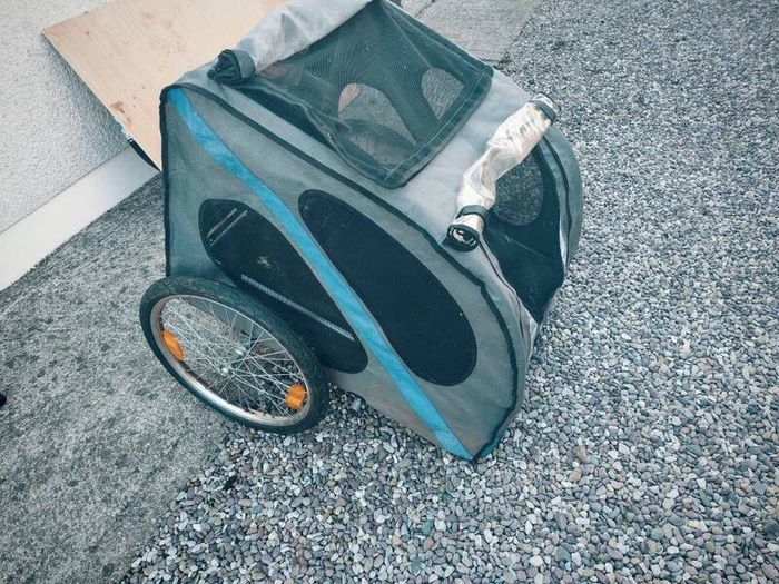 dog bike trailer