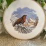 Vintage Coalport  pot pads Image 3