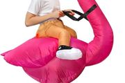 SEASONAL SALE Flamingo Costume Inflatable Costume Adult Inflatable Halloween Costumes Fancy Dress for Adult