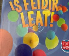 Irish school book.