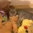 winnie Hu