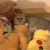 winnie Hu