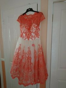 Brand New Chi Chi dress