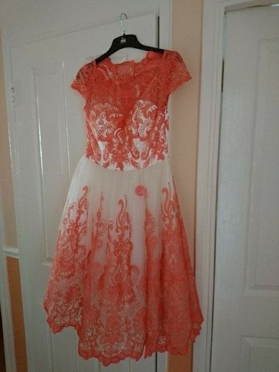 Brand New Chi Chi dress