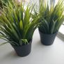 Geometric gold wire lantern lamp and two artificial grass plants Image 2