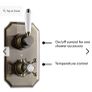Chatsworth 1928 Antique Brass Traditional Shower with Concealed Valve + 8" Head Image 2