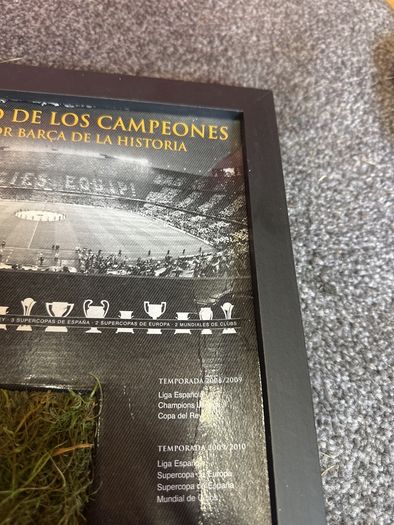 Barcalona camp nou grass