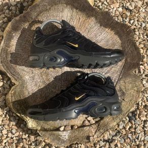 Get Rare 1 of 1 Nike Air Max TN