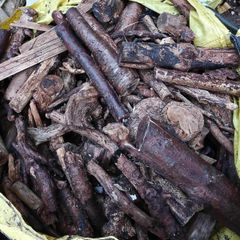 Wood sticks logs