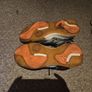 Basketball Shoe/ Casual Image 5