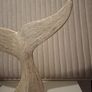 Whale tail Image 7