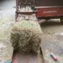 Massy 120 square bailer Image 2