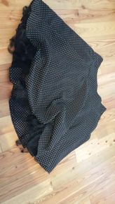Polka Dot Flared Skirt