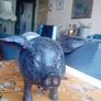 Pig Kitchen Towel Holder Image 3