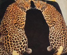 Beautiful cushion