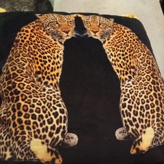Beautiful cushion