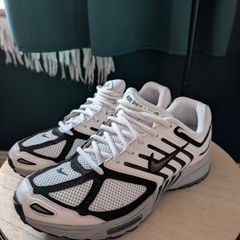 Nike pegasus 2005