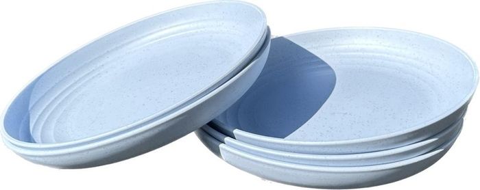 Plastic plates reusable ( only blue left)