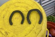 horseshoe