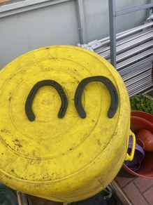horseshoe