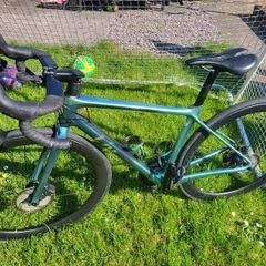 Liv langma pro 0 2022