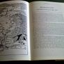 By Shannon shores History of River Shannon. Image 4