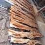 timber planks Image 8