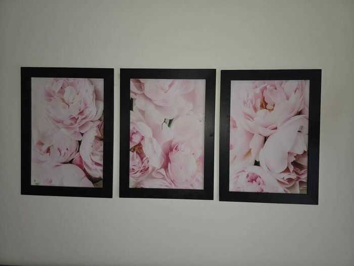 3 pictures framed