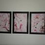 3 pictures framed Image 3