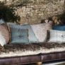 Designer Sofa- can possibly deliver Image 3