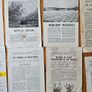 1960s Department Of Agricultural Booklets On Farming. Topics Such As Patato Growing,planting Forest Trees,desease Control And Others. In Good Condition.  See Photos For Same. Image 5