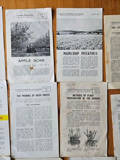 1960s Department Of Agricultural Booklets On Farming. Topics Such As Patato Growing,planting Forest Trees,desease Control And Others. In Good Condition.  See Photos For Same.