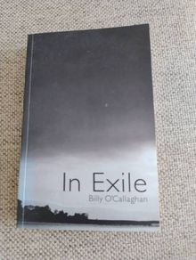 In Exile by Billy O Callaghan 2008 short stories collection in very good condition FREE STANDARD POSTAGE INCLUDED