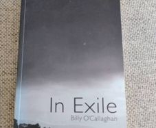 In Exile by Billy O Callaghan 2008 short stories collection in very good condition FREE STANDARD POSTAGE INCLUDED